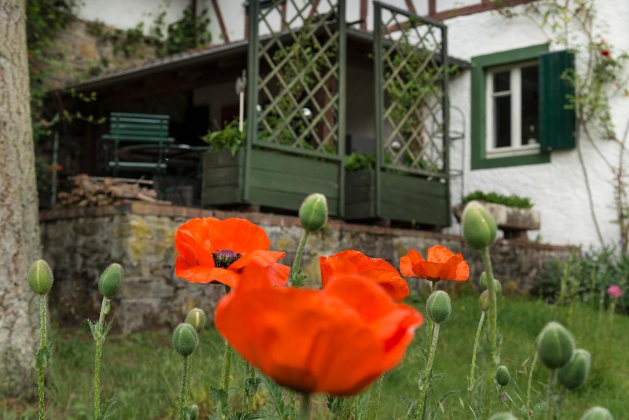 Zum-Goldenen-Schaf Appartement Blankenheim  Buitenkant foto