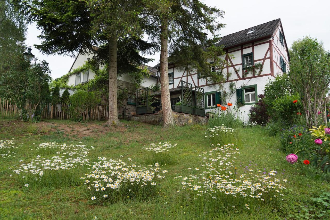 Zum-Goldenen-Schaf Appartement Blankenheim  Buitenkant foto